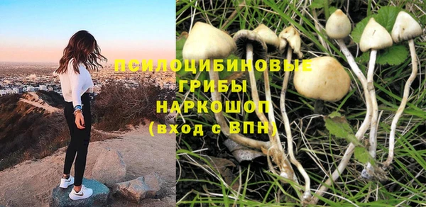 каннабис Алексеевка