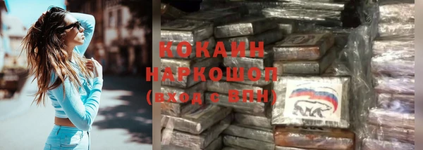скорость Алзамай